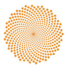 Das ist eine Fibonacci Spirale aus dem FiboKids SchoolPower Buch